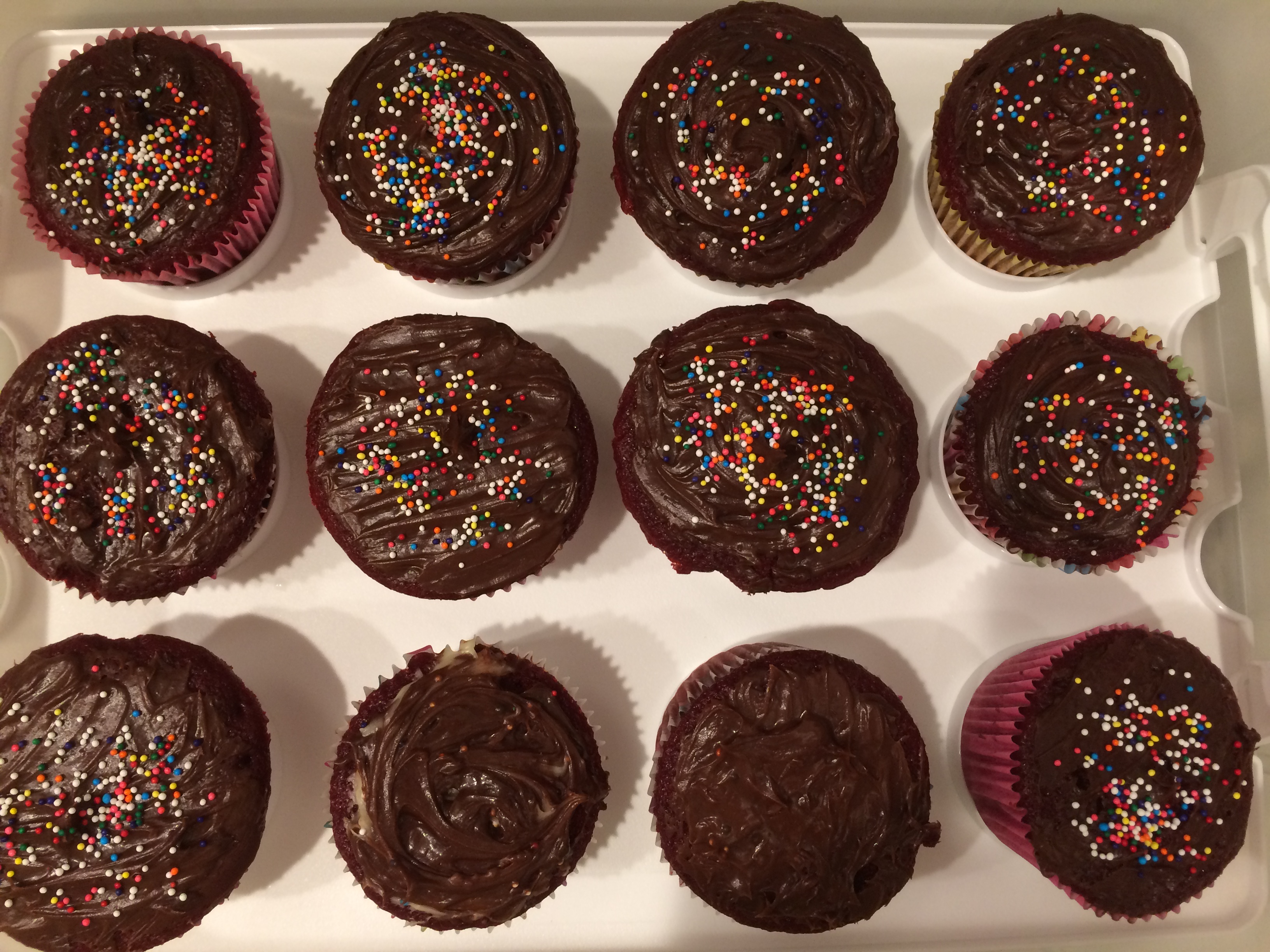 Chocolate cupcakes with rainbow sprinkles