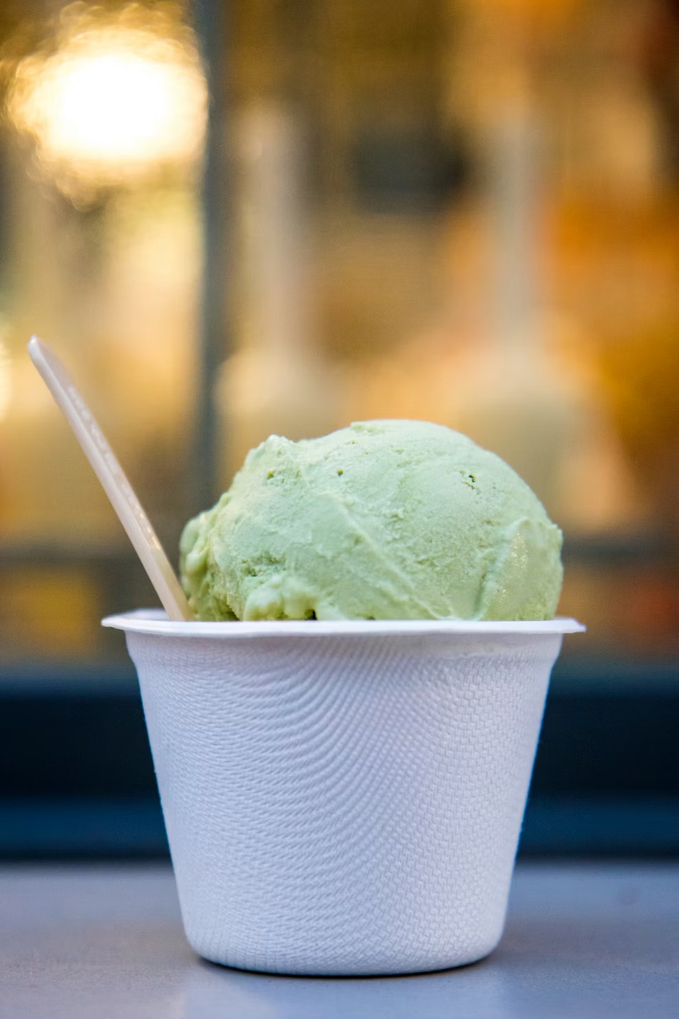 Mint Chocolate Chip Ice Cream