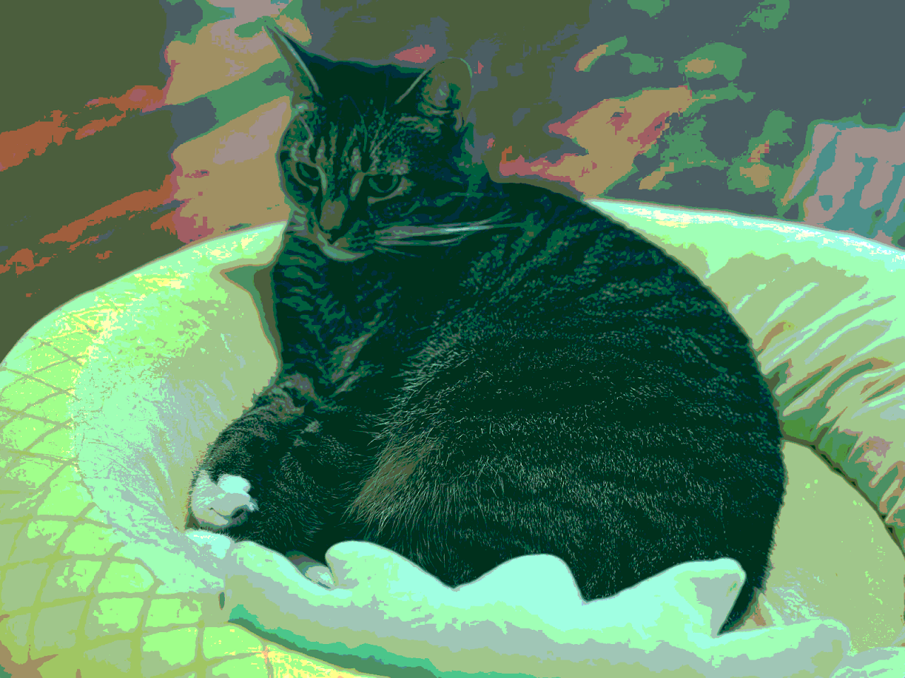 A cat sitting on a pineapple pillow.